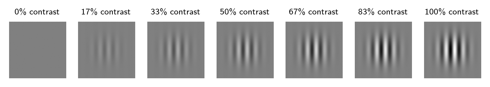 gabor patches at various contrasts ranging from 0 to 100%